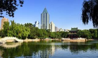 k175次火车途径站点 乌鲁木齐的简介