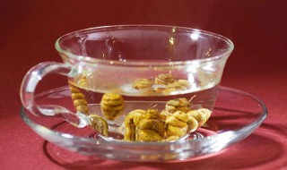 究竟石斛怎么泡水 一定要用对方法