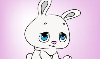 兔子头怎么画 画兔子头只需三步骤