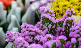 醉人的花香原唱 以及相关的歌词内容