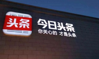 头条怎么打不开文字网页 是服务器原因吗