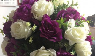 适合盘花柱的月季品种 请看品种