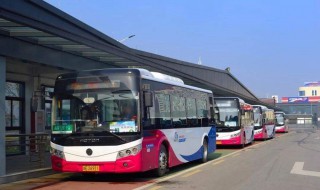 北京公交车道限行时间 生活常识要懂得