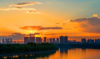 沈阳狗市在什么地方 快来告诉你