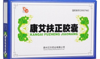 康艾注射液说明书 快看这里