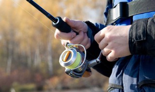 伐钓竿线组绑法 筏钓竿双钩线组怎么绑