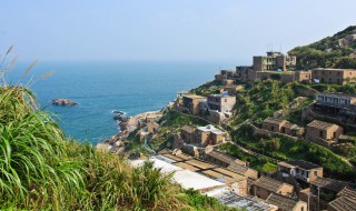 东极岛可以带狗去吗 旅游？走咯