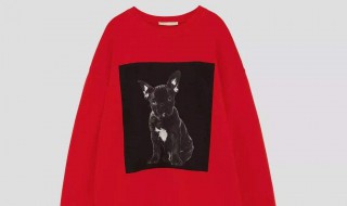 中款连帽卫衣搭配 怎么搭配好看呢