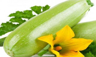 秋天要吃哪三瓜 适应季节健康饮食