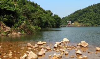 深圳一日游必去的地方 这些景点你一定不能错过