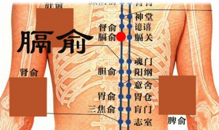 隔俞穴在什么位置 隔俞穴有什么功效