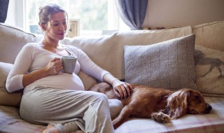 孕酮多少是男孩 吃什么可以提高孕酮