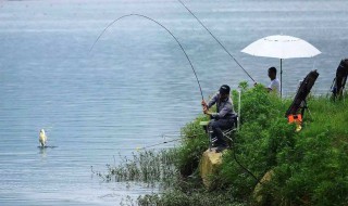 太空豆的作用 以及它的使用办法及技巧