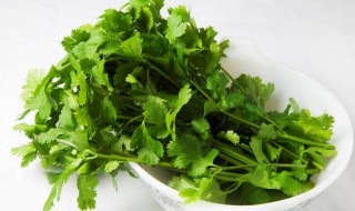 香菜能治什么病 小伙伴们知道吗