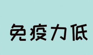 女性提高免疫力的补品 效果极好
