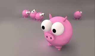 属猪女几点出生最好 一起来看看