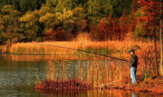 抗走水用什么样浮漂 抗流水用什么漂
