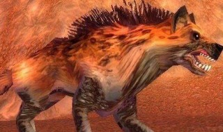 钢齿土狼在哪 魔兽世界怀旧服钢齿土狼刷新位置