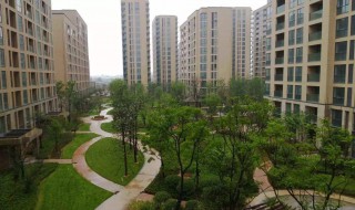 安置房一般什么价格 房价风云