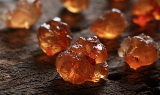 桃胶多少钱一斤 不同地区价格不同