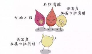 女性降低胆固醇方法 如何降低胆固醇