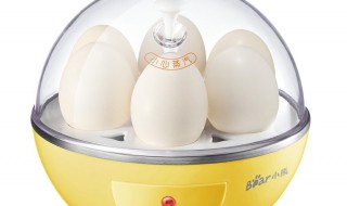 煮蛋器怎么使用 煮蛋器使用方法