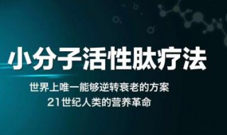 小分子肽能调湿气重吗 与人体的关系？