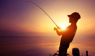 沾粉钓法怎么用 沾 粉蘸水沾小米钓法的操作方法