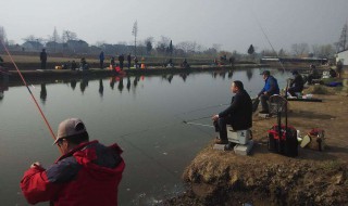 黑坑怎么选钓位 快来看看吧