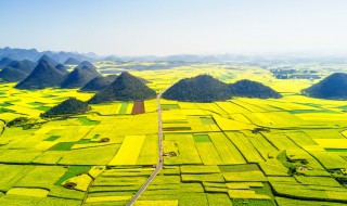 3000公顷等于多少平方千米 公顷与平方千米如何换算