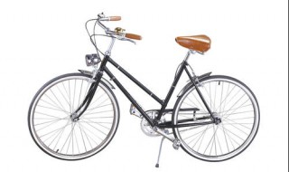 要什么自行车是什么梗 是什么意思