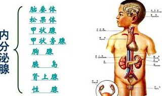 生殖内分泌疾病 预防更重要