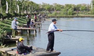 白露秋分夜鱼怎么钓 秋天是钓鱼好季节!