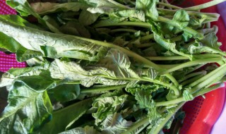 萝卜秧子怎么做好吃法 要怎么做才可以更好吃呢？