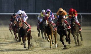 赛马不相马是什么意思 相马不如赛马是什么意思