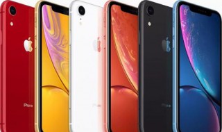 苹果11照像功能 送给喜欢的你