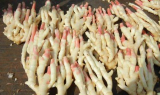 嫩姜怎么保存不会坏 送给喜欢的你