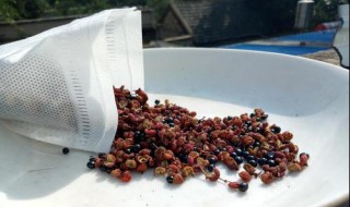 花椒籽榨油的方法 主要有以下方法制取