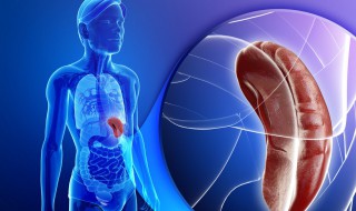 脾经怎么敲打 敲打脾经的妙法