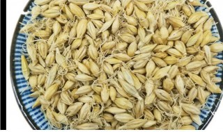 双芽水是什么 双芽水的功效