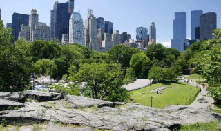 中央公园有哪些中学 在什么地方