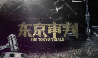 冈村宁次为什么没被东京审判 冈村宁次有被审判吗