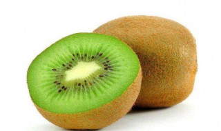 猕猴桃的品种有哪些 怎么样的