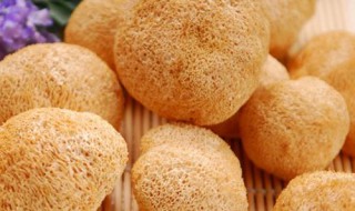 红烧猴头菇窍门 怎么做好吃