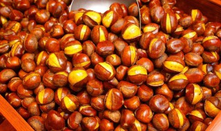 怎样炒栗子好剥皮 栗子好剥皮的方法