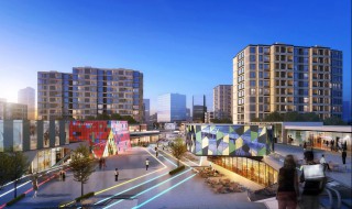 绿城杨柳郡的缺点 以及关于楼盘的情况信息