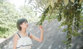 小草青青大结局 请看大结局