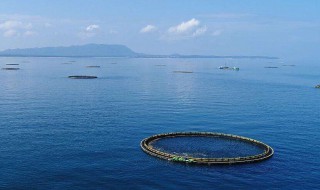 五胡四海三江各指的是什么 五湖四海用法