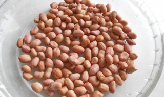 花生米不脆了怎么办 这么做去水分重变脆