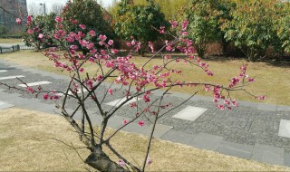 宿迁太湖路在哪里 大家可以简单了解一下